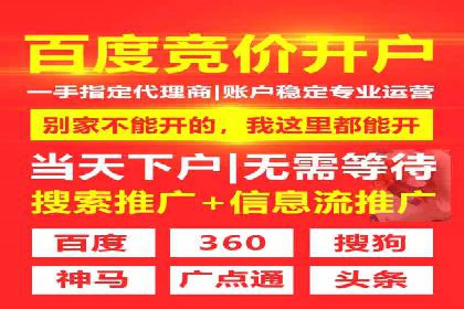 百度搜索优化：成功案例分析及策略解析